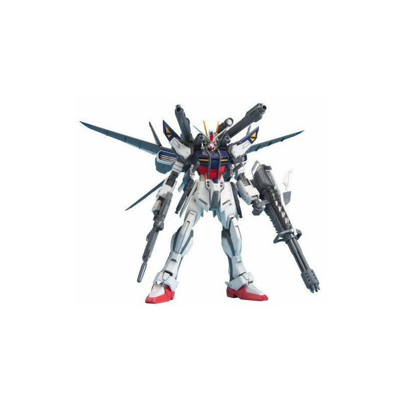 Gundam - MG 1/100 Strike E + Iwsp Astrays Lukas O'Donnell Custom