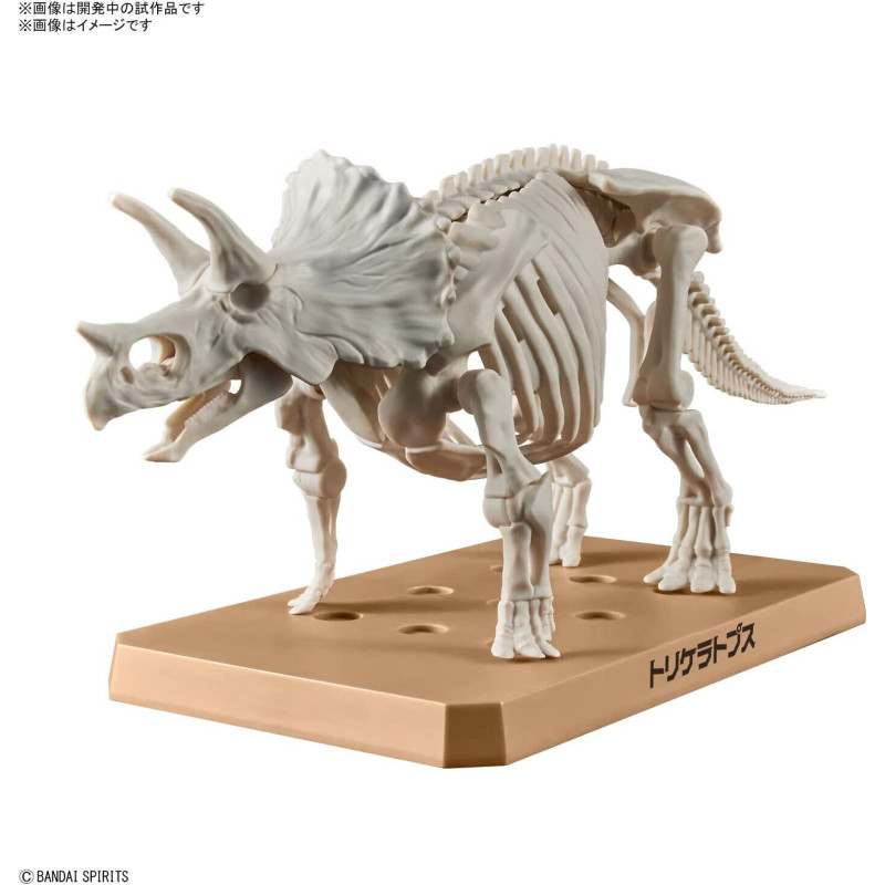 Maquette Plannosaurus Triceratops (Model Kit)