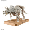 Maquette Plannosaurus Triceratops (Model Kit)