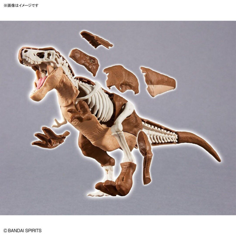 Maquette Plannosaurus Tyrannosaurus (Model Kit)