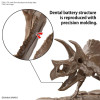 Model Kit 1/32 Imaginary Skeleton Triceratops