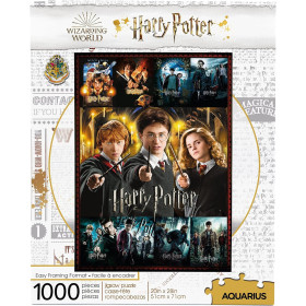 Harry Potter - Puzzle 1000 pièces Ron, Hermione & Harry