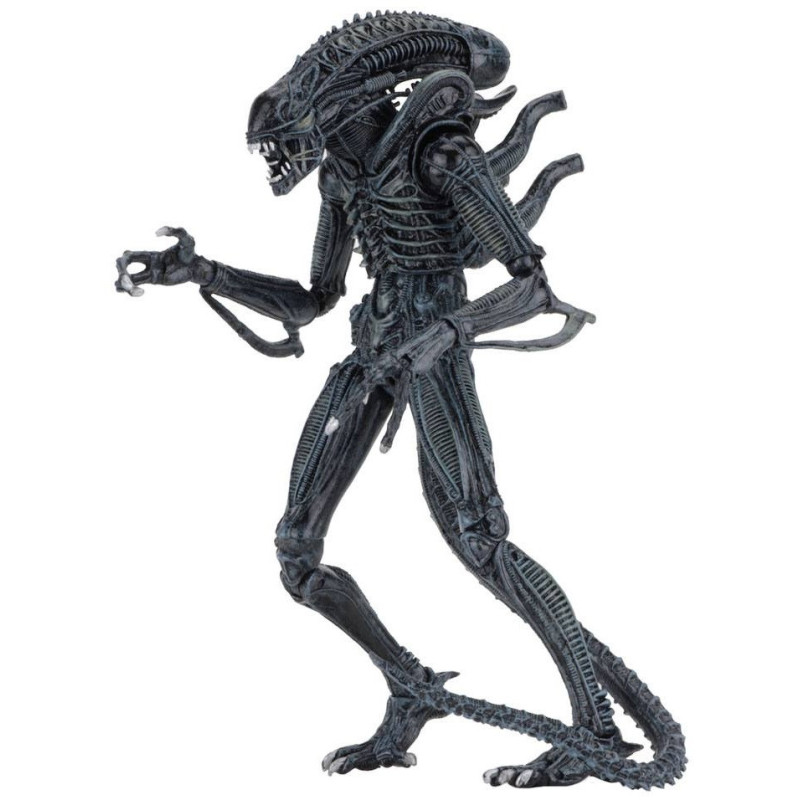 Aliens - Figurine Ultimate Alien Warrior Blue