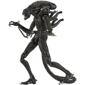 Aliens - Figurine Ultimate Alien Warrior Brown