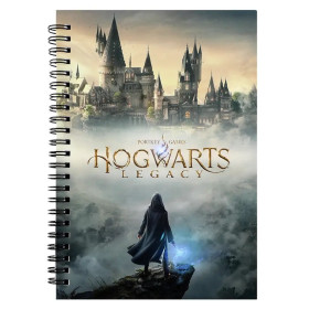 Hogwarts Legacy - Carnet spirales Poster