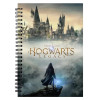 Hogwarts Legacy - Carnet spirales Poster