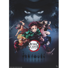 Demon Slayer (Kimetsu no Yaiba) - Poster Pourfendeurs 52 x 38 cm