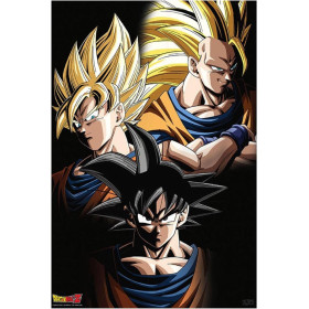 Dragon Ball Z - poster Transformations Goku (52 x 38 cm)
