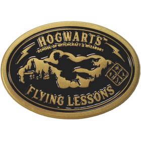 Harry Potter - Pins Flying Lessons