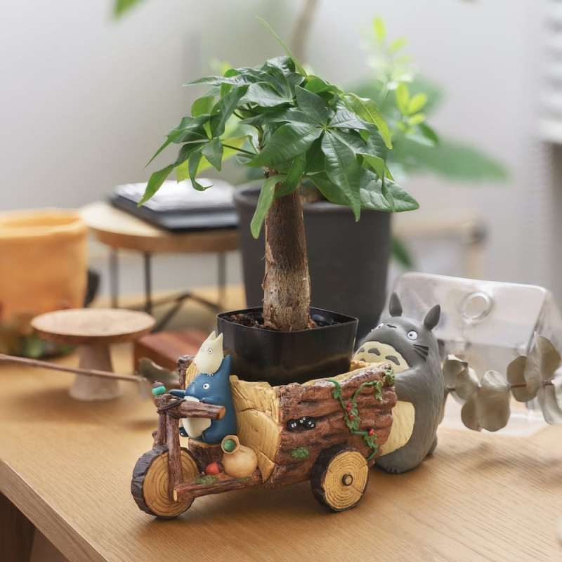 Mon voisin Totoro - Pot de fleurs Tricycle
