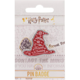 Harry Potter - Pins Wizard in Triaining