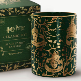 Harry Potter - Pot à crayon Black Family Tapestry