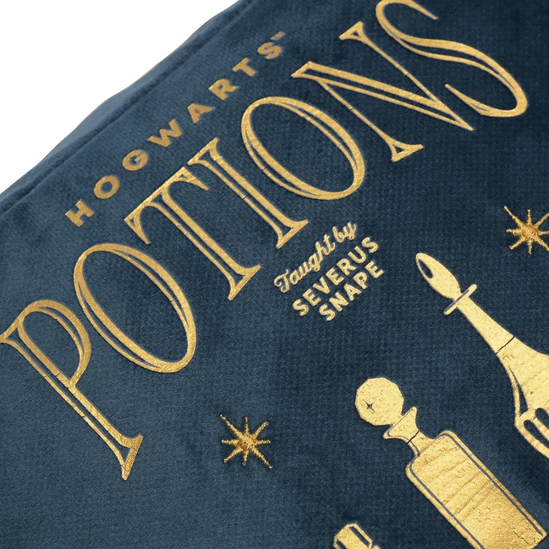 Harry Potter - Trousse de toilette Potions