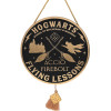 Harry Potter - Panneau suspendu Flying Lessons