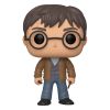 Harry Potter - Pop! - Harry with Two Wands n°118