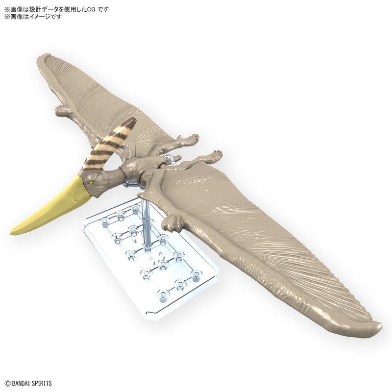 Maquette Bandai – Plannosaurus Pteranodon Model Kit