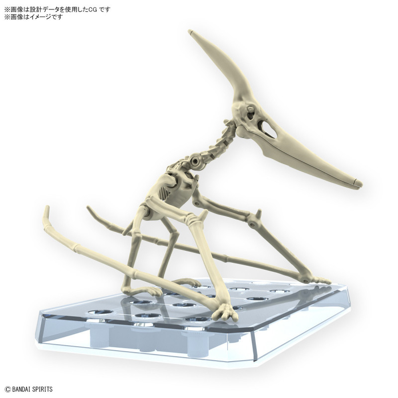 Maquette Bandai – Plannosaurus Pteranodon Model Kit
