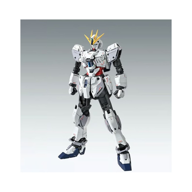 Gundam - MG 1/100  Narrative C-Packs Ver.Ka