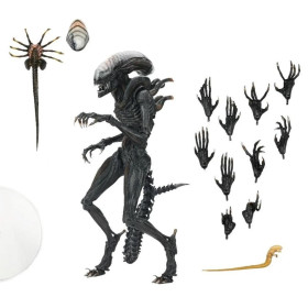 JUILLET 2025 : Alien : Romulus - Accessoires pour figurines Accessory Pack