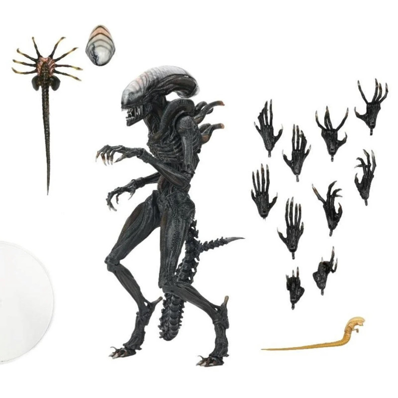 JUILLET 2025 : Alien : Romulus - Accessoires pour figurines Accessory Pack