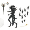 JUILLET 2025 : Alien : Romulus - Accessoires pour figurines Accessory Pack