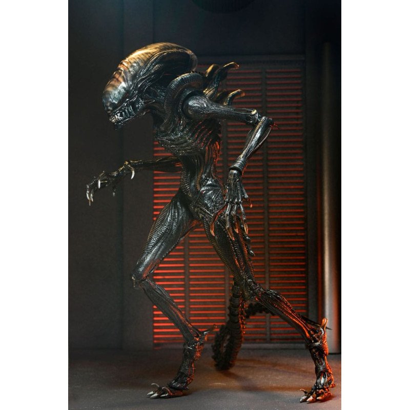 JUILLET 2025 : Alien : Romulus - Accessoires pour figurines Accessory Pack