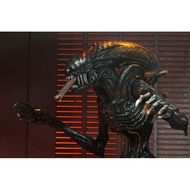 JUILLET 2025 : Alien : Romulus - Accessoires pour figurines Accessory Pack