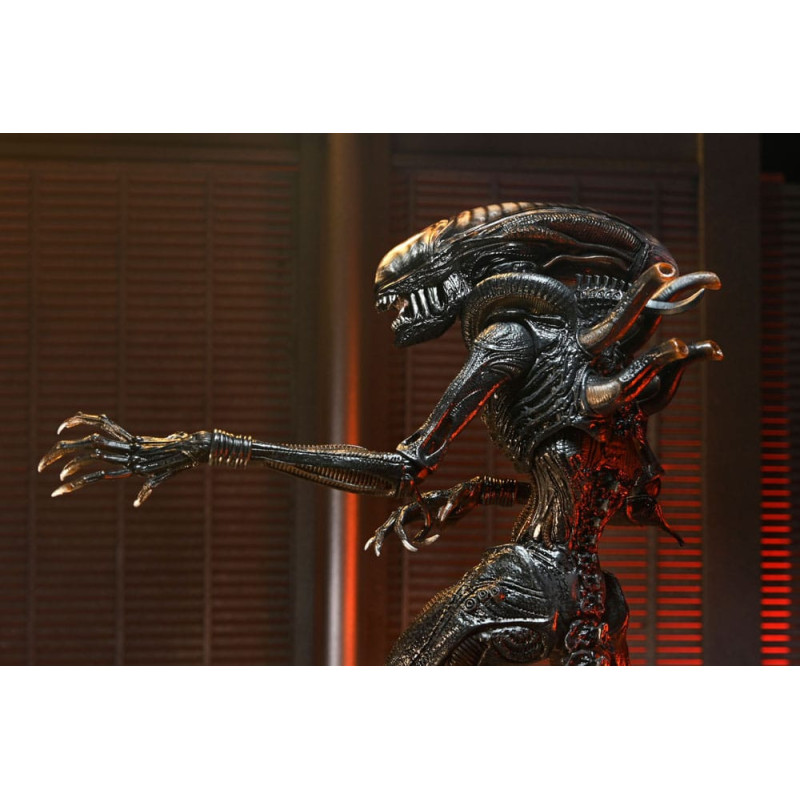 JUILLET 2025 : Alien : Romulus - Accessoires pour figurines Accessory Pack