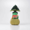 Hunter X Hunter - Figurine Memorable Saga : Gon Special