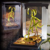 Fantastic Beasts - Créatures magiques - Figurine Bowtruckle