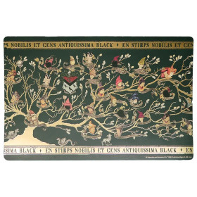 Harry Potter - Lot de 4 set de tables Black Family Tapestry