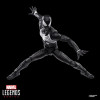 Spider-Man 2 – Marvel Legends Peter Parker Black Suit – Hasbro