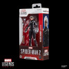Marvel Legends - Gamerverse Spider-Man 2 - Black Cat Felicia Hardy