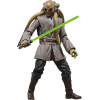 Figurine Kit Fisto 15 cm – Star Wars Black Series 20th – Hasbro