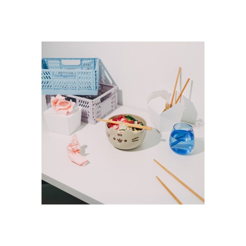 Bol à Ramen et baguettes Pusheen – Erik