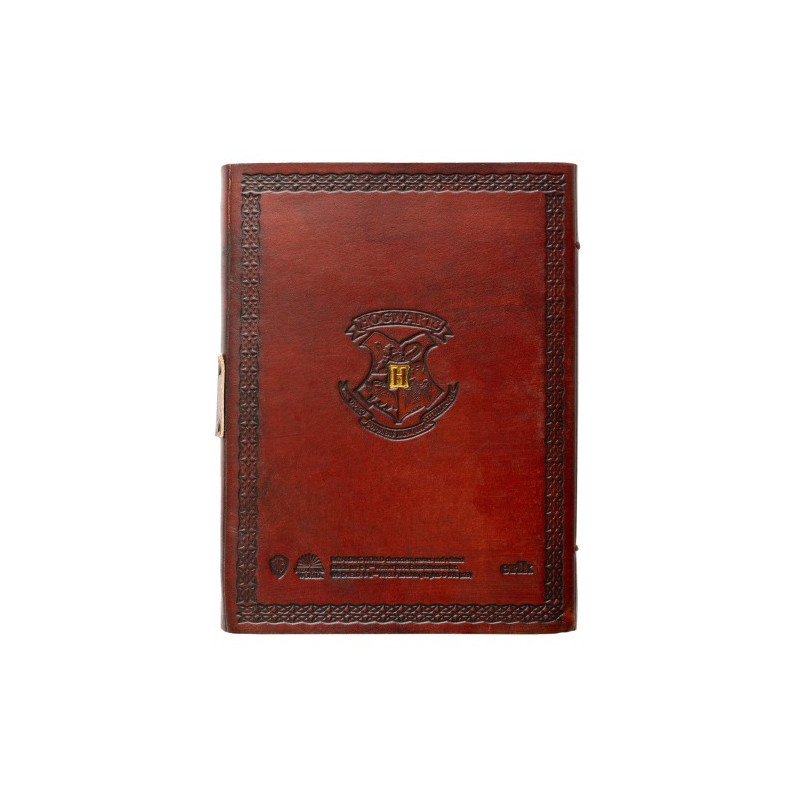 NOVEMBRE 2025 : Harry Potter - Carnet premium Cuir Vegan Golden Snitch (Vif d'Or)