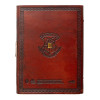 NOVEMBRE 2025 : Harry Potter - Carnet premium Cuir Vegan Golden Snitch (Vif d'Or)