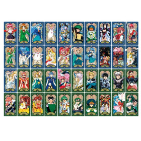 Magic Knight Rayearth - Arcana Card Collection 1 EXEMPLAIRE ALEATOIRE