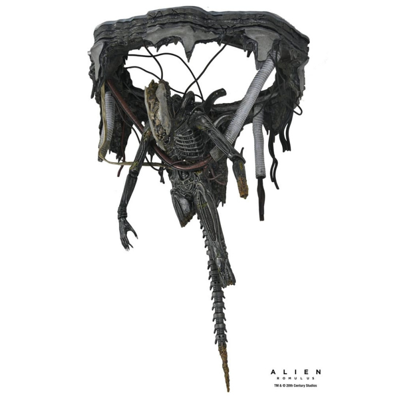 Alien : Romulus - Figurine Deluxe Suspended Lab Xenomorph XX121 18 cm