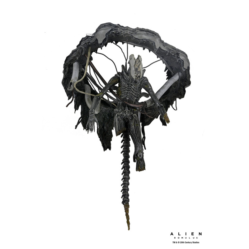 Alien : Romulus - Figurine Deluxe Suspended Lab Xenomorph XX121 18 cm