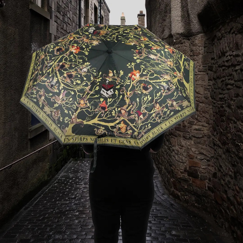 OCTOBRE 2025 : Harry Potter - Parapluie Tapisserie Black Family