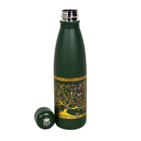 Harry Potter - Bouteille 750 ml Tapisserie Black Family