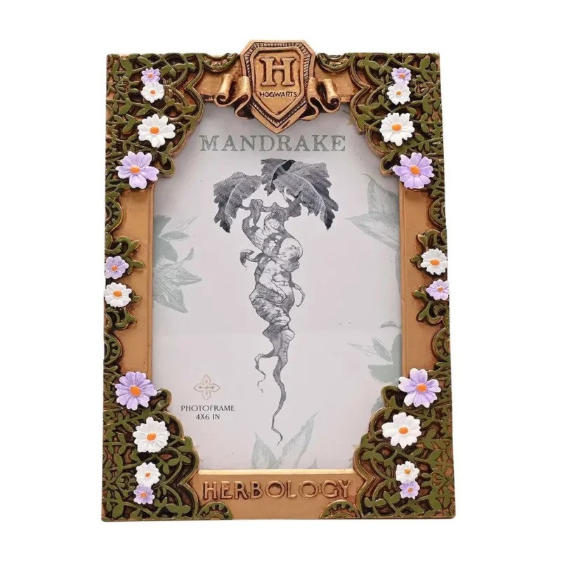 Harry Potter - Cadre photo Herbologie