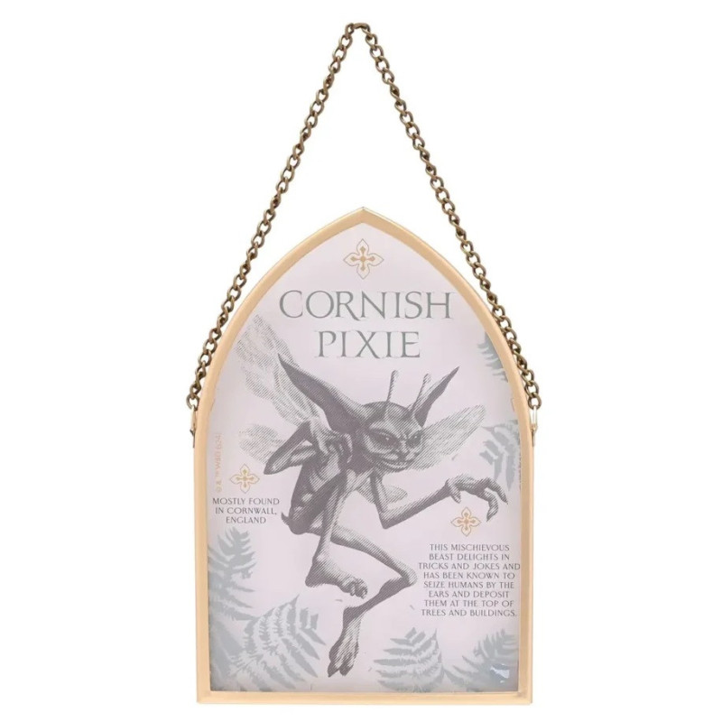 Harry Potter - Plaque à suspendre Cornish Pixie