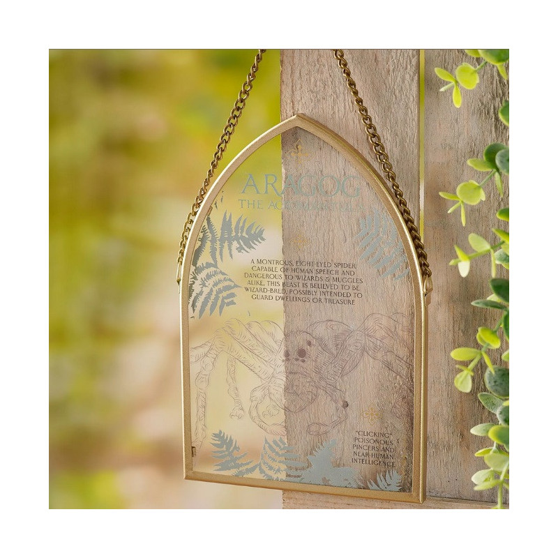 Harry Potter - Plaque à suspendre Aragog