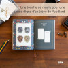 Harry Potter - Agenda scolaire 2025/2026 A5 17 mois semainier