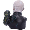 Harry Potter - Buste Voldemort