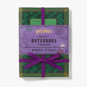 Harry Potter - Set de 3 carnets Ministry of Magic