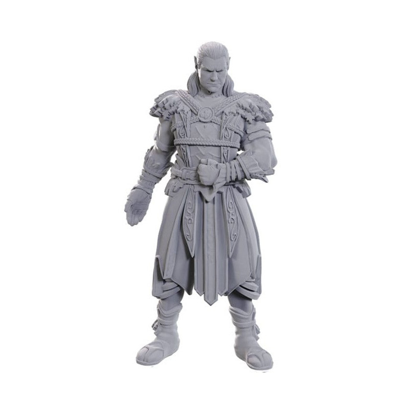 Jaheira & Halsin Miniatures Baldur's Gate 3 – D&D Wizkids