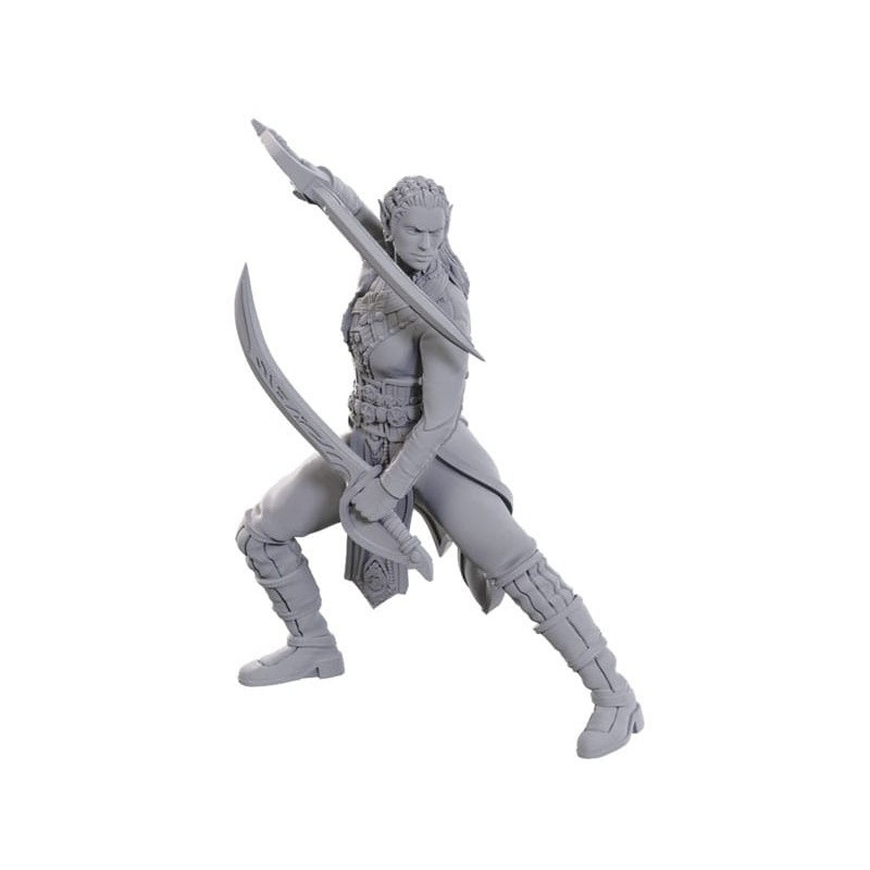 Jaheira & Halsin Miniatures Baldur's Gate 3 – D&D Wizkids